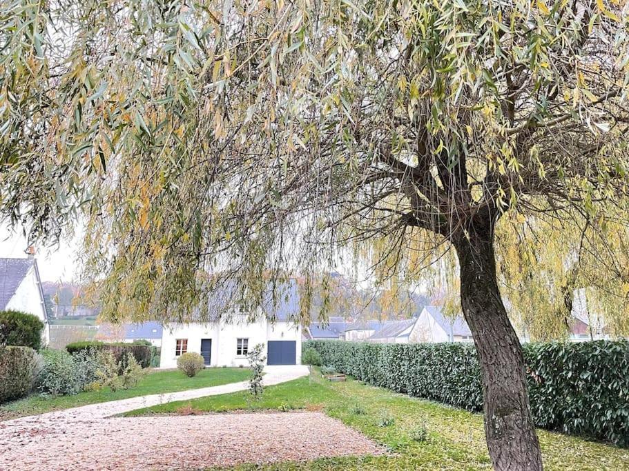 Havre De Paix Spa Proche Amboise & Chateaux De La Loire Нуази Экстерьер фото